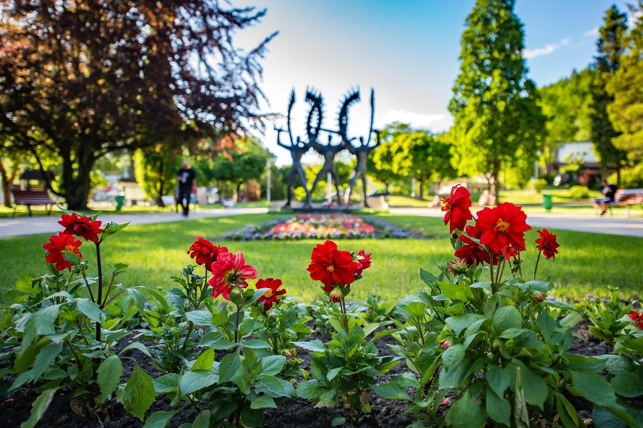 Apartamenty Sun & Snow Centrum Krynica Zdroj Bagian luar foto